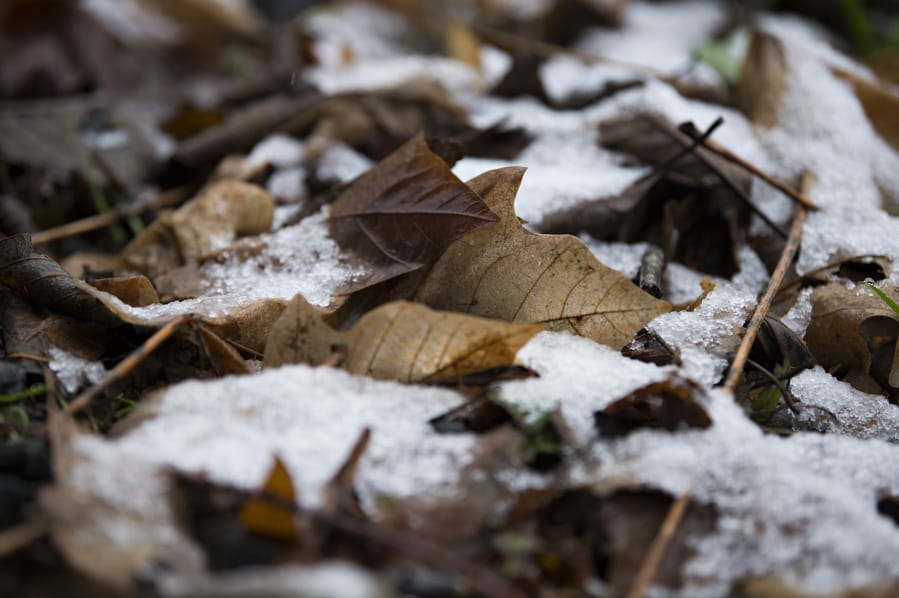 Monday&#039;s snowfall was barely enough to cover leaves in Yacolt. The National Weather Service expects more snow, but whatever accumulates should melt quickly with the high expected to reach 40 degrees Thursday afternoon.