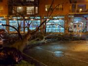 A large tree on the western edge of Vancouver's Esther Short Park toppled into Esther Street Saturday night. Witnesses said no one was injured and no property was damaged. City crews were working to remove the tree well into the night.