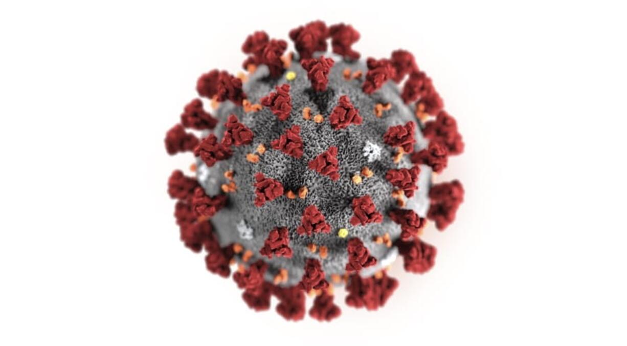 This illustration provided by the Centers for Disease Control and Prevention in January 2020 shows the 2019 Novel Coronavirus (2019-nCoV). This virus was identified as the cause of an outbreak of respiratory illness first detected in Wuhan, China.