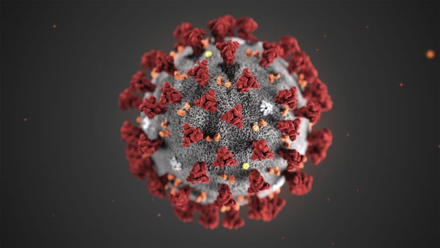 This illustration provided by the Centers for Disease Control and Prevention in January 2020 shows the 2019 Novel Coronavirus (2019-nCoV). This virus was identified as the cause of an outbreak of respiratory illness first detected in Wuhan, China.