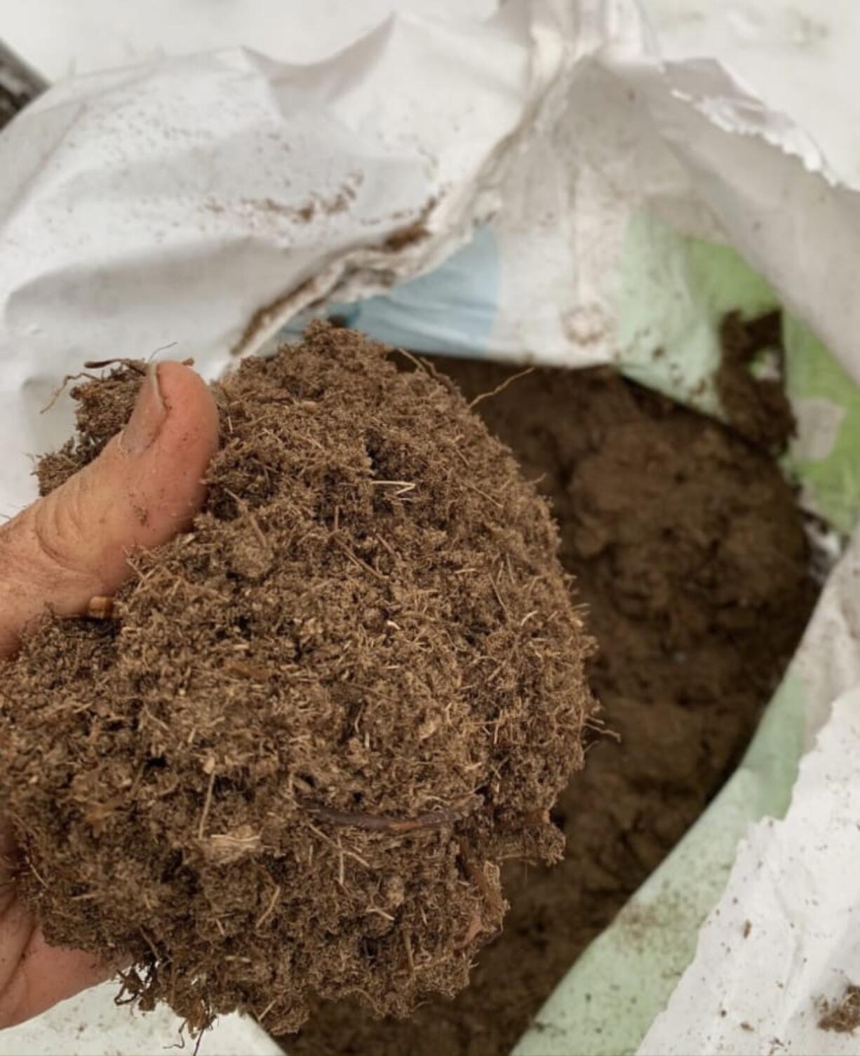 Although peat moss is a useful soil amendment, such as in potting mixes, it is not indispensible.