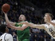 Oregon&#039;s Payton Pritchard, second from right, shoots past California&#039;s Lars Thiemann (21) in the second half of an NCAA college basketball game Thursday, Jan. 30, 2020, in Berkeley, Calif.