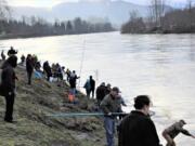 Smelt dipping is as much a social event as a fishery. Friends and family gather along the Cowlitz River bank on Friday, Feb. 14, 2020, to enjoy what can only be described as a festival atmosphere.