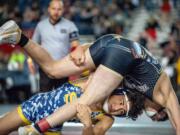 Seton Catholic junior Elijah Volk, bottom, takes down Royal's Kaleb Hernandez in a Class 1A 145-pound quarterfinal on Friday at Mat Classic XXXII in the Tacoma Dome. Volk won by 8-4 decision.