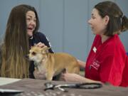 Alysia Meness of Vancouver chats with veterinarian Dr. Lauren Overman as Jalissa, her 7-year-old Chihuahua mix, is examined by a team from the Humane Society for Southwest Washington at the Open House Ministries free pet clinic Thursday in downtown Vancouver.