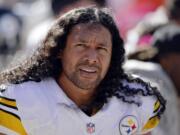 Pittsburgh Steelers strong safety Troy Polamalu was elected to the Pro Football Hall of Fame as part of the Class of 2020, it was announced on Saturday, Feb. 2020.