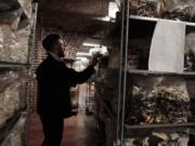 Quentin Declerck, from Le Champignon de Bruxelles, inspects the progress of shelves of mushrooms growing in various substrates Feb. 5 at the company&#039;s urban farm in the cellars of Cureghem in Brussels. When the founding members of the company first tried to grow their shiitake, maitake and nameko mushroom varieties using coffee grounds as a substrate, they realized the fungi much preferred organic beer waste.