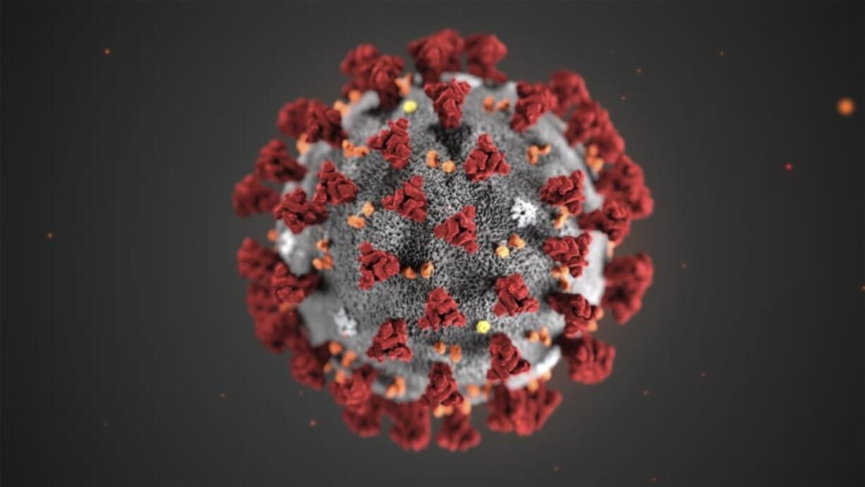 This illustration shows the 2019 Novel Coronavirus (2019-nCoV), identified as the cause of an outbreak of respiratory illness first detected in Wuhan, China.