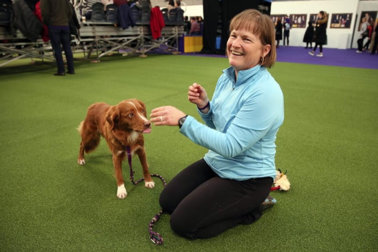 Liberty, a Nova Scotia duck tolling retriever, and owner Marcia Lyons of Seattle get ready to compete in the Westminster Kennel Club&#039;s agility championship Saturday in New York.