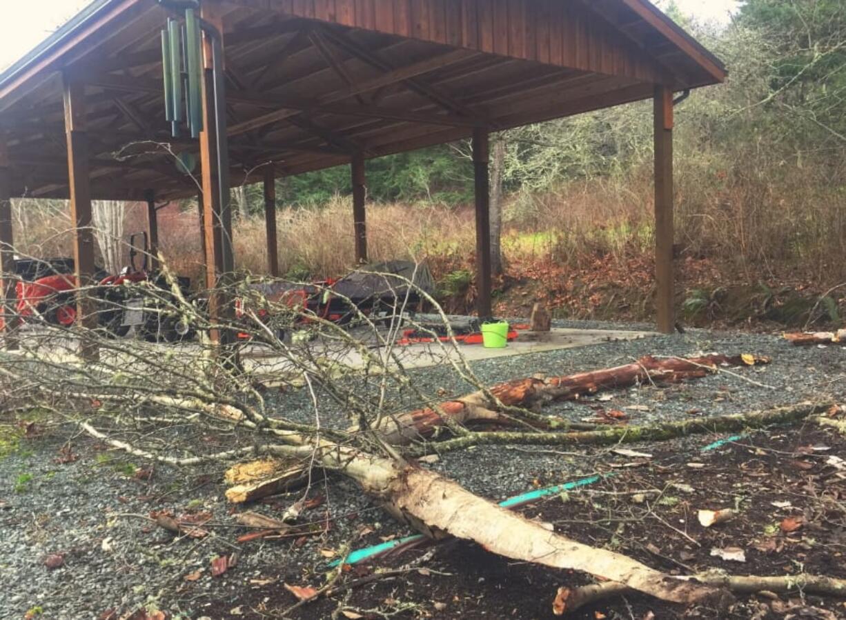 This Jan. 3, 2020 photo, shows a near miss after a windstorm broke off a large tree branch adjacent to a new machine shed near Langley, Was. If mature trees are damaged, rotting or dying back, hire a certified arborist to prescribe preventive pruning or removal and replacement before the next big storm.