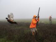 Julie Rouzee with the Vancouver Wildlife League is startled by a pheasant as it&#039;s flushed out by her footsteps while hunting near the Port of Vancouver in November.