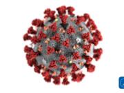 This illustration provided by the Centers for Disease Control and Prevention in January 2020 shows the 2019 Novel Coronavirus (2019-nCoV). This virus was identified as the cause of an outbreak of respiratory illness first detected in Wuhan, China.