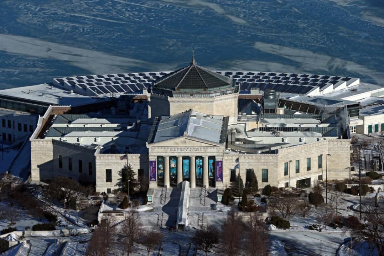 The Shedd Aquarium in Chicago has been streaming footage of their penguins.