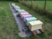 This photo taken July 1, 2016 shows a group of first-year honeybee hives in a pasture near Langley, Wash. Chemicals are routinely applied to kill insect pests and troublesome weeds but many are indiscriminate, devastating beneficial insects in the process. Landowners should avoid using pesticides in areas attractive to pollinators and instead use non-toxic methods to get rid of such pests as aphids.