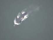 A whale swims off the coast of Georgia with fresh propeller cuts on its back in March 2006. The whale is assumed to have died from its injuries, as it was never seen again.