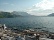 Mount St. Helens is seen from the far shore of Spirit Lake.