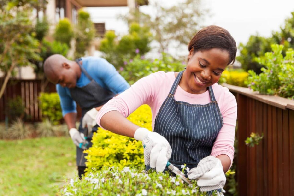 Natural household items like coffee grounds, baking soda and water can help you protect your garden from build-up from grime and pests.