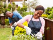 Natural household items like coffee grounds, baking soda and water can help you protect your garden from build-up from grime and pests.