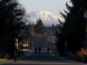 A fresh blanket of snow covers Mount St. Helens, in this December 2018 photo from the Washington State University Vancouver campus.