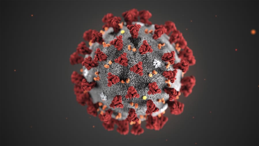 This illustration shows the 2019 Novel Coronavirus.