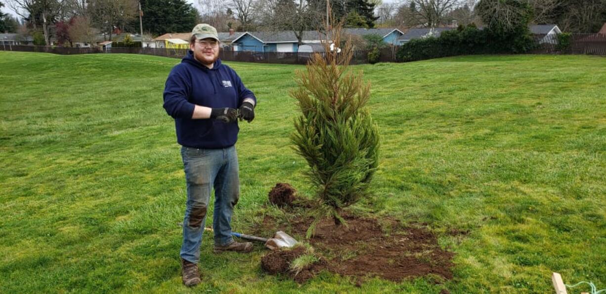 OGDEN: Vancouver Urban Forestry intern Matt McLean plants one of this year&#039;s trees at the Volunteer Grove at Centerpointe Park.