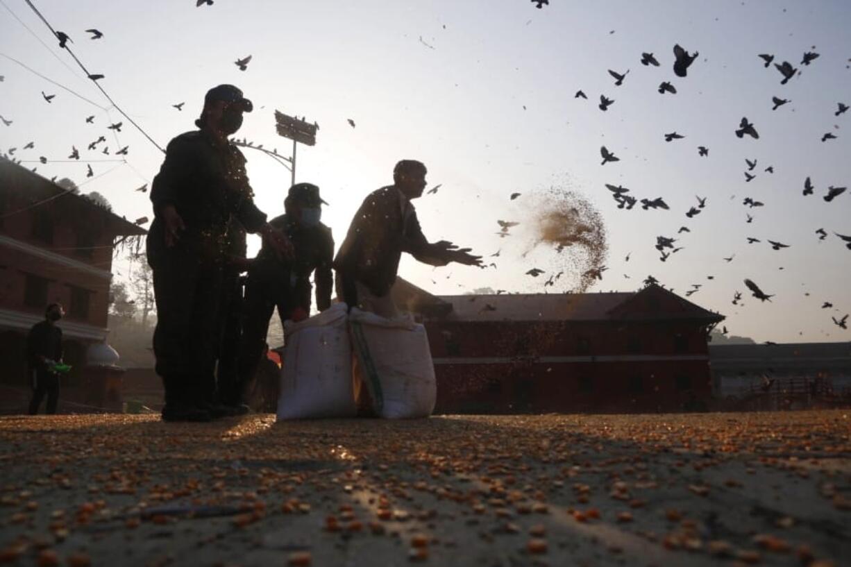 In this Tuesday, March 31, 2020, photo, staff from the Pashupatinath Development Trust feed pigeons at Pashupatinath temple, the country&#039;s most revered Hindu temple, during the lockdown in Kathmandu, Nepal. Guards, staff and volunteers are making sure animals and birds on the temple grounds don&#039;t starve during the country&#039;s lockdown, which halted temple visits and stopped the crowds that used to line up to feed the animals.