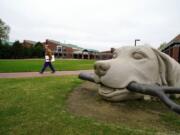 In this March 24, 2020, photo, a woman walks past a dog sculpture on the campus of the North Carolina State University College of Veterinary Medicine in Raleigh, N.C. The school is one of several vet schools around the country that have donated breathing machines, masks and other supplies to their human health-care counterparts in the fight against the COVID-19 pandemic. (AP Photo/Allen G.