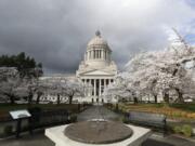 In this photo taken March 23, 2020, cherry trees bloom next to the Capitol building in Olympia, Wash.