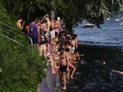 Warm weather, cold water, boats and youth lead to a compact crowd along the north bank of the Montlake Cut east of the bridge.