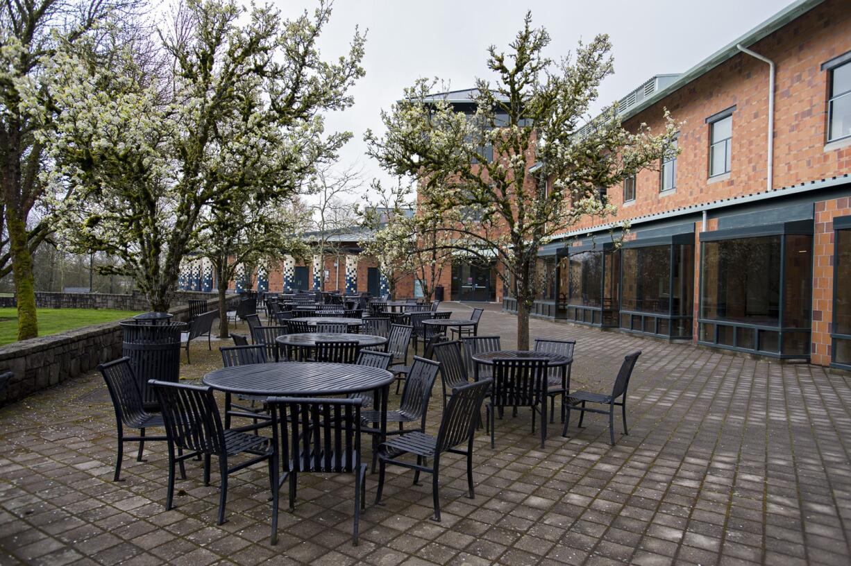 Empty chairs and tables are seen amid the COVID-19 crisis at Washington State University Vancouver on  March 25. Unemployment claims in the education services sector doubled from 380 to 715 claims last week.