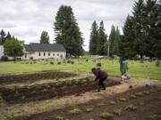 Janeth Sotelo of Orchards plants cilantro seeds in her garden plot Saturday at the Bethel Community Garden behind Bethel Lutheran Church in Brush Prairie. Sotelo joined the community garden about seven years ago and learned how to garden from a friend.