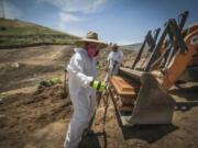 In this May 5, 2020 photo, workers in full protection gear as a precaution against the new coronavirus, unload a coffin that contain the remains of a person who died from the new coronavirus, in an area of the municipal cemetery set apart for victims of COVID-19, in Tijuana, Mexico. Citing a threat of the virus from Mexico, the Trump administration has banned hundreds of thousands of people from crossing the southern border with emergency measures that prohibit nonessential traffic and reject asylum seekers without a hearing.