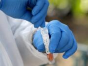 FILE - In this April 16, 2020, file photo, a medical worker places a swab in a vial while testing the homeless for COVID-19 through the Miami-Dade County Homeless Trust, during the new coronavirus pandemic, in Miami. An Associated Press analysis finds that most states are not meeting the minimum levels of testing suggested by the federal government and recommended by public health researchers even as many of them begin to reopen their shattered economies.