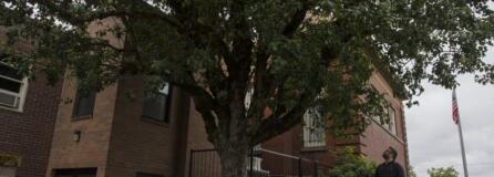 Brad Richardson, executive director of the Clark County Historical Museum, looks over one of the better known descendants of the Old Apple Tree. It&#039;s outside the museum in Uptown Village.