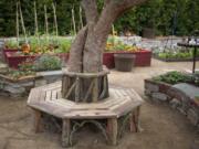 A bench around a tree and raised flower and vegetable beds.