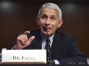 Dr. Anthony Fauci, director of the National Institute for Allergy and Infectious Diseases, testifies before a Senate Health, Education, Labor and Pensions Committee hearing on Capitol Hill in Washington, Tuesday, June 30, 2020.