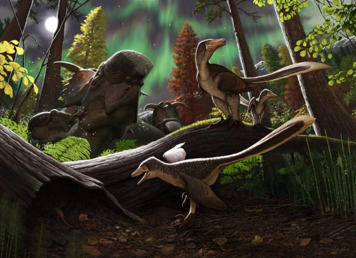 Artistic rendering of a juvenile dromaeosaur 70 million years ago on the Prince Creek Formation in northern Alaska.