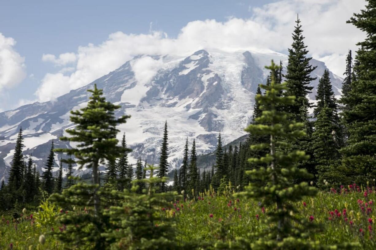 Wildflowers bloom at Mount Rainier National Park in July 2018. The legislation is expected to address a maintenance backlog at national parks, including Mount Rainier.