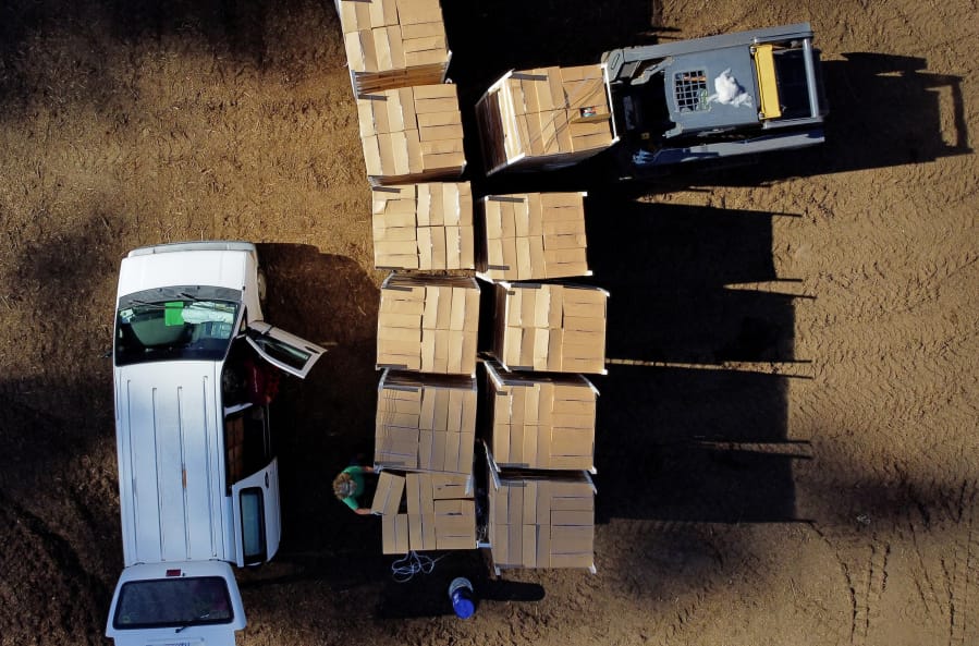 As an Eastern Washington truck is being unloaded of tons of produce at Farmer Frog by forklift, July 14, 2020, in Woodinville, Washington, part of the East-West Food Rescue program during the COVID pandemic. A van at left is already picking up 45 of the 2000 boxes of food, each containing 10 pounds of apples, eight pounds of potatoes and three pounds of onions. At bottom, co-executive director of the rescue, Zsofia Pasztor, helps load the van which is from Nurturing Roots, an urban farm organization which will distribute the food, according to the urban farm&#039;s executive director Nyema Clark.