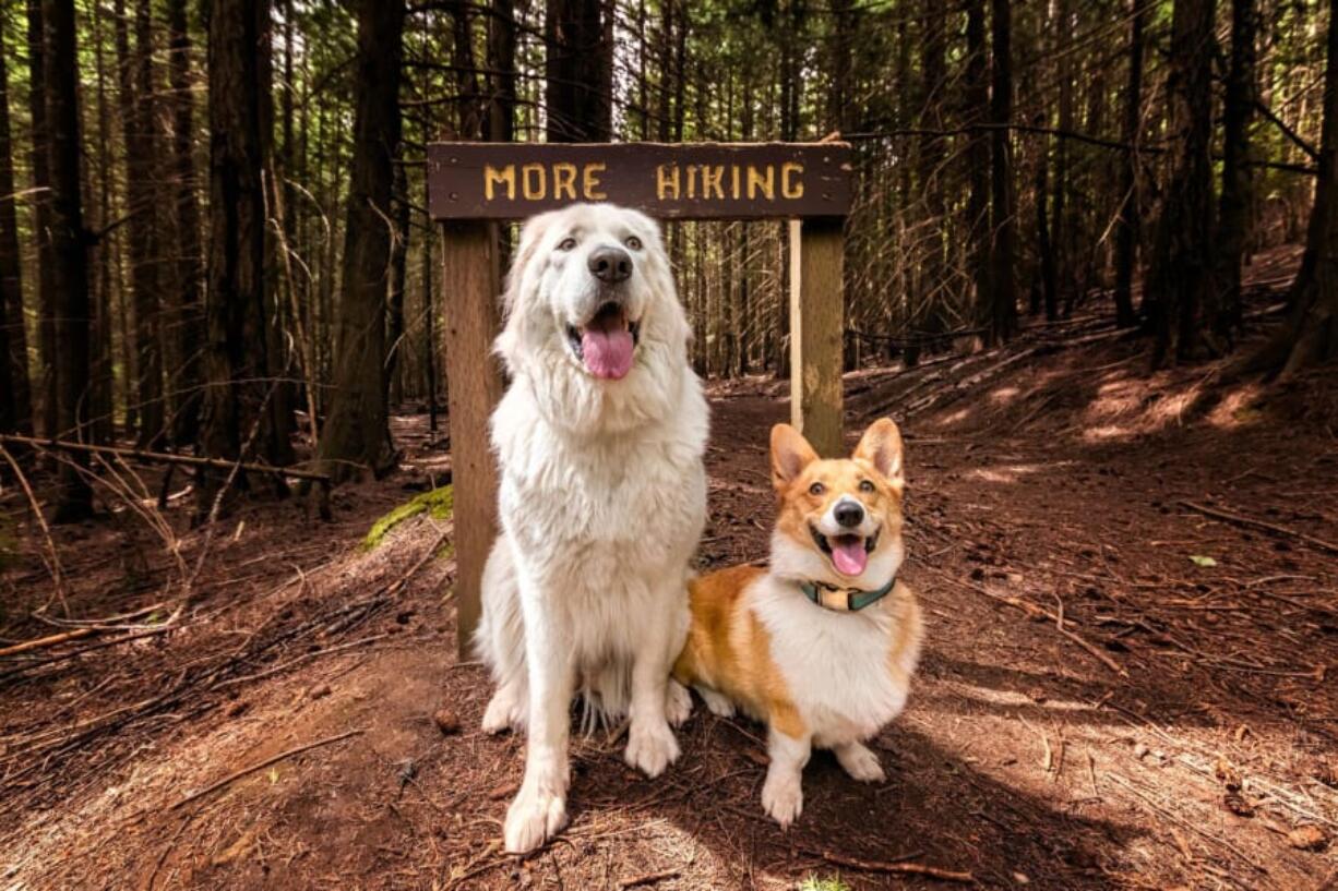 Bella and Maverick take a break on Liberty Creek Loop for a quick photograph.