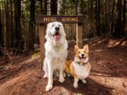 Bella and Maverick take a break on Liberty Creek Loop for a quick photograph.