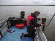 Kathy Gillespie of Friends of Vancouver Lake displays a handful of milfoil at Vancouver Lake. The group spearheaded an effort to eradicate the milfoil from the lake.