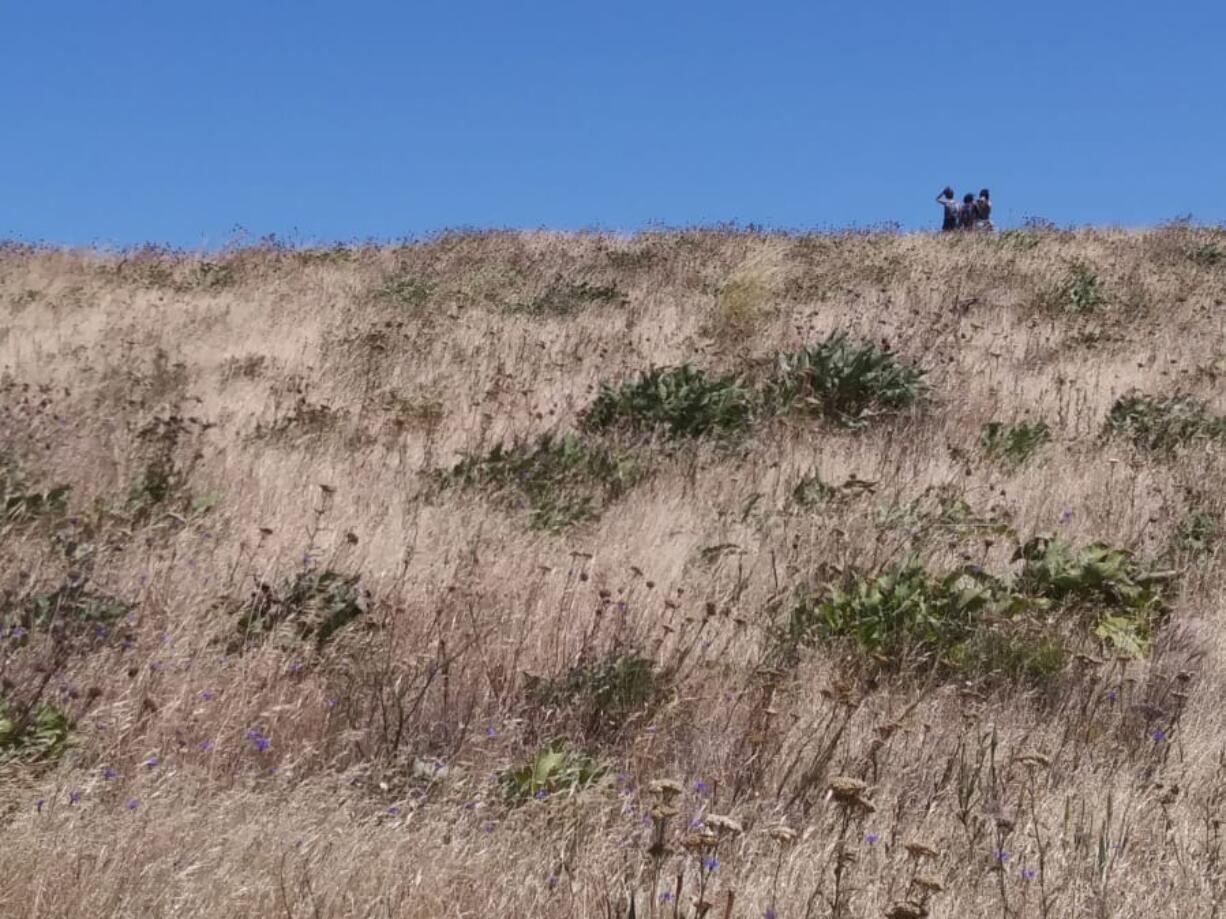 Hikers approach McCall point after climbing the Rowena Crest trail in Oregon&#039;s Tom McCall Nature Preserve.