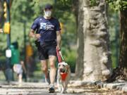 Thomas Panek runs with his running guide, Blaze, a Labrador retriever, Thursday, July 23, 2020, in Central Park in New York. Panek, a blind runner with a wall full of ribbons from marathons he ran with a human guide, developed a canine running guide training program five years ago after he became president and CEO of Guiding Eyes for the Blind in suburban New York.