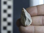 A stone tool found below the Last Glacial Maximum layer from a cave in Zacatecas, central Mexico. Artifacts from the cave suggest people were living in North America much earlier than most scientists think.