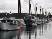 Gillnetting on the Columbia River has been scheduled for 14 days in August.