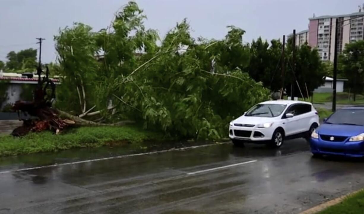 In this image made from video, a large tree toppled by tropical storm winds is seen in Alto Trujillo, Puerto Rico, Thursday, July 30, 2020. Tropical Storm Isaias knocked out power and caused flooding and small landslides across Puerto Rico and the Dominican Republic on Thursday as forecasters predicted it would strengthen into a hurricane while moving toward the Bahamas and U.S.