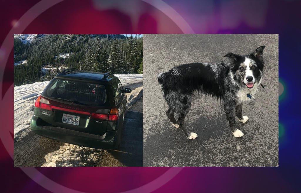 Gail Krueger's Subaru and dog, Drew, were stolen Wednesday in Vancouver.