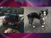 Gail Krueger's Subaru and dog, Drew, were stolen Wednesday in Vancouver.