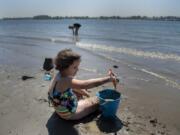 Vancouver resident Heidi Zeigler, 8, cools off in the water while playing in the sand with her mom along the sun-soaked shoreline of the Columbia River on Friday afternoon. Heidi was one of a handful of visitors to the scenic area as residents sought refuge from the high summer temperatures. Forecasts anticipate that high temperatures could reach triple digits over the weekend.